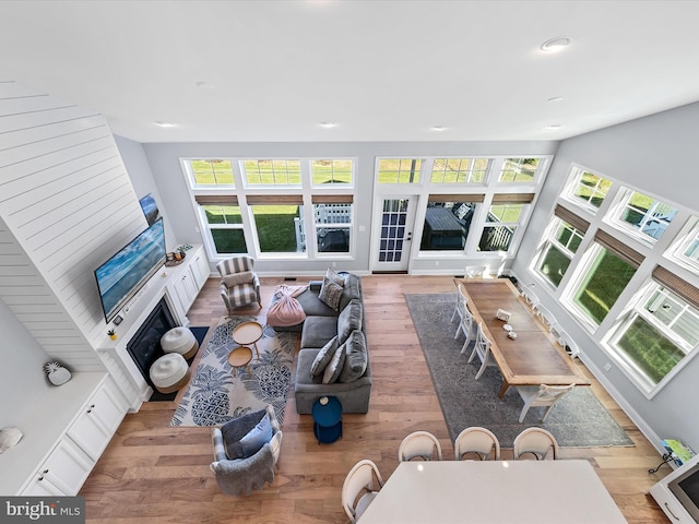 living room featuring light hardwood / wood-style floors