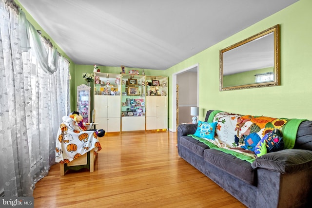 living room featuring wood-type flooring