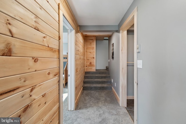 stairs featuring wooden walls and carpet floors