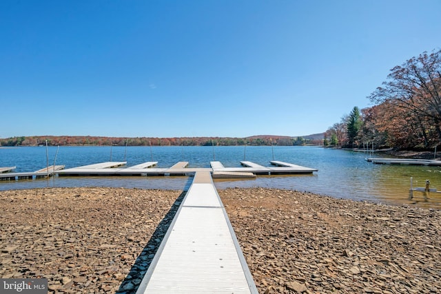 dock area with a water view