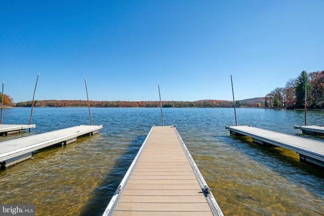 dock area with a water view