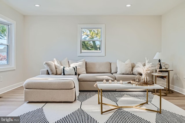 living room featuring hardwood / wood-style flooring