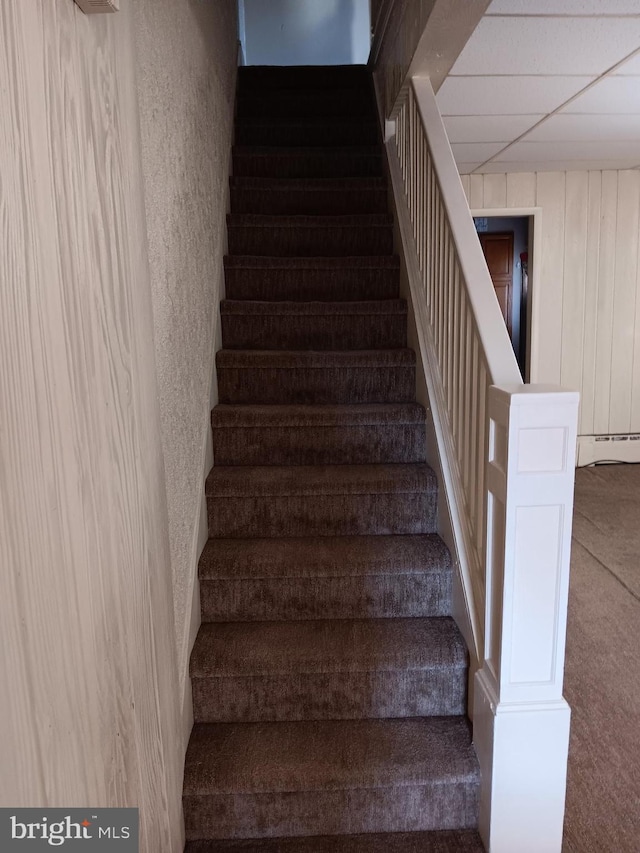 staircase featuring carpet flooring and a baseboard radiator