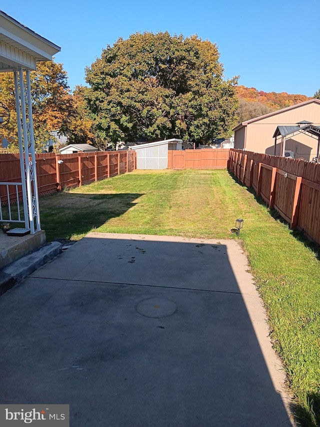 view of yard with a patio area