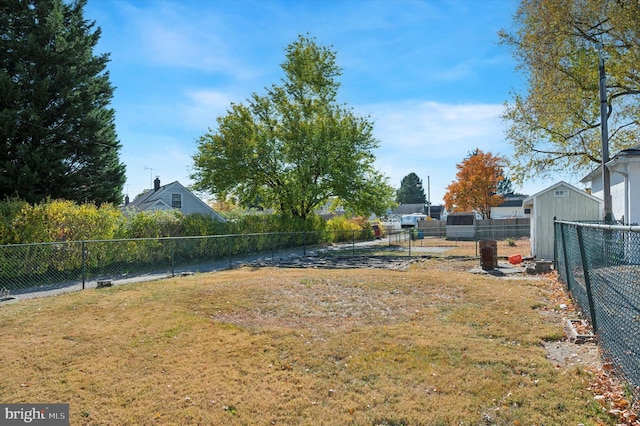 view of yard featuring a shed