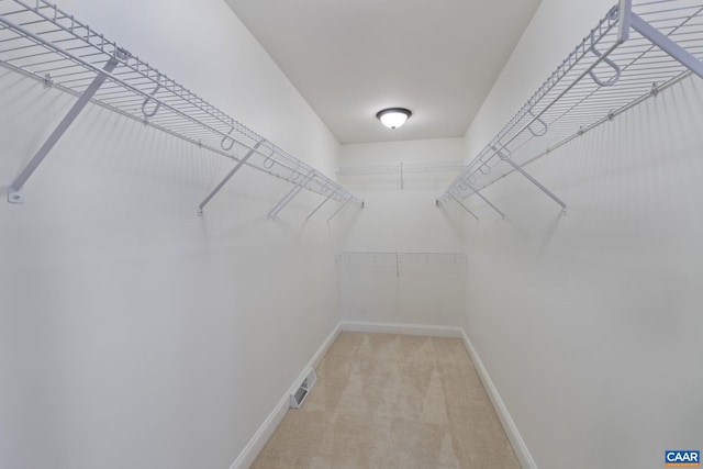 walk in closet featuring carpet floors