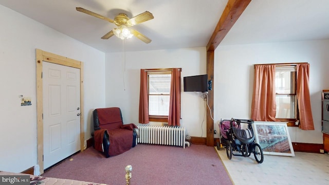 living area featuring beam ceiling, ceiling fan, carpet floors, and radiator