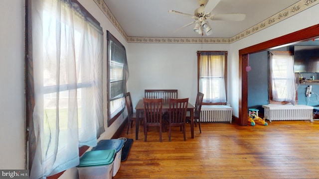 dining area featuring crown molding, hardwood / wood-style floors, radiator, and ceiling fan