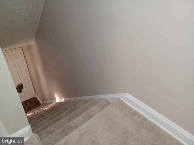 stairway featuring carpet floors