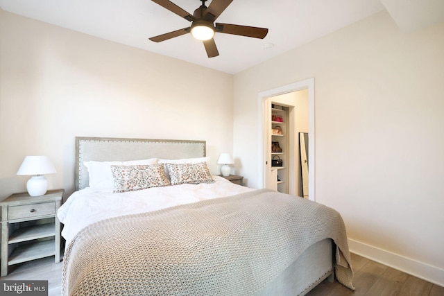 bedroom with ceiling fan, wood-type flooring, and a spacious closet