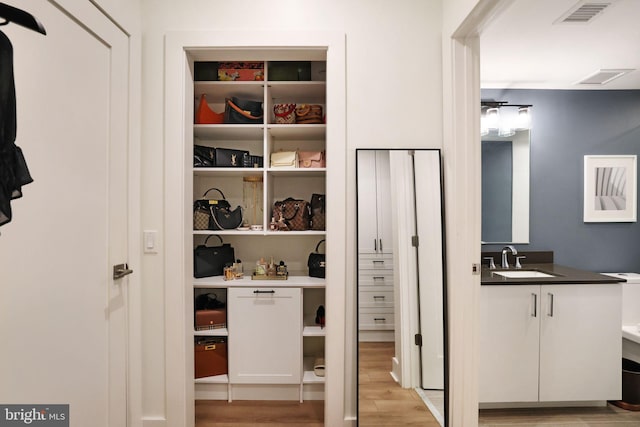 closet with sink