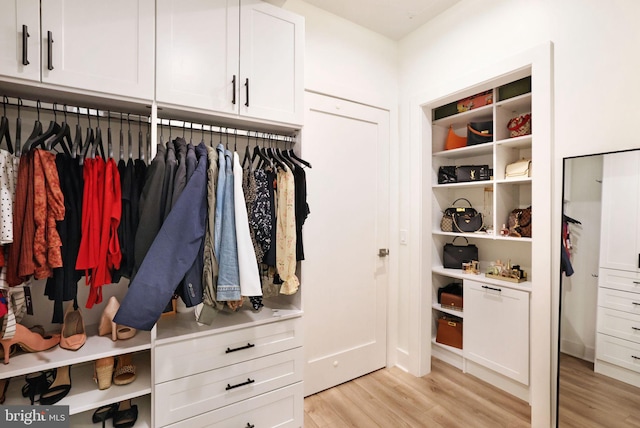 view of closet