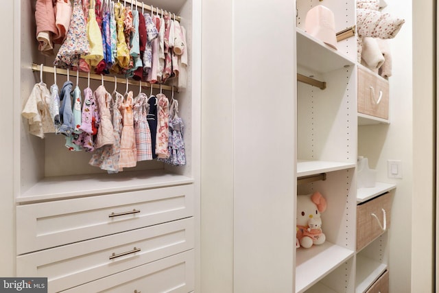 view of spacious closet