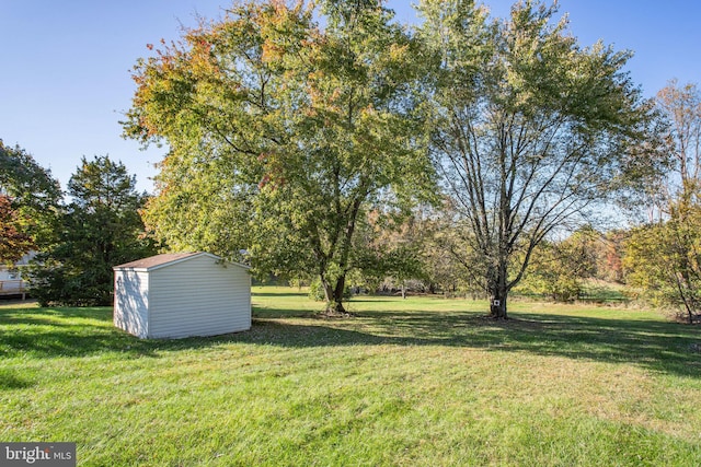 view of yard with a storage shed