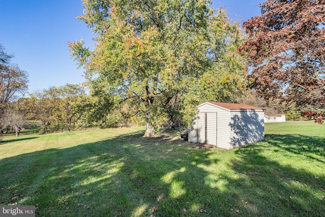 view of yard featuring a shed