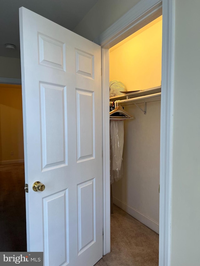 view of closet