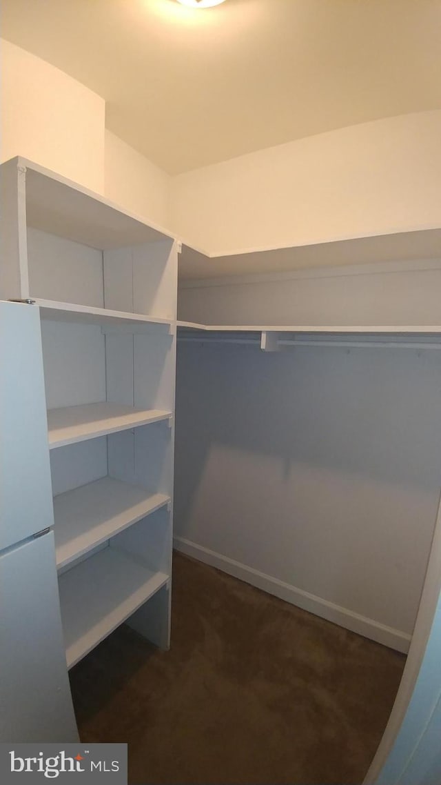 walk in closet with dark carpet