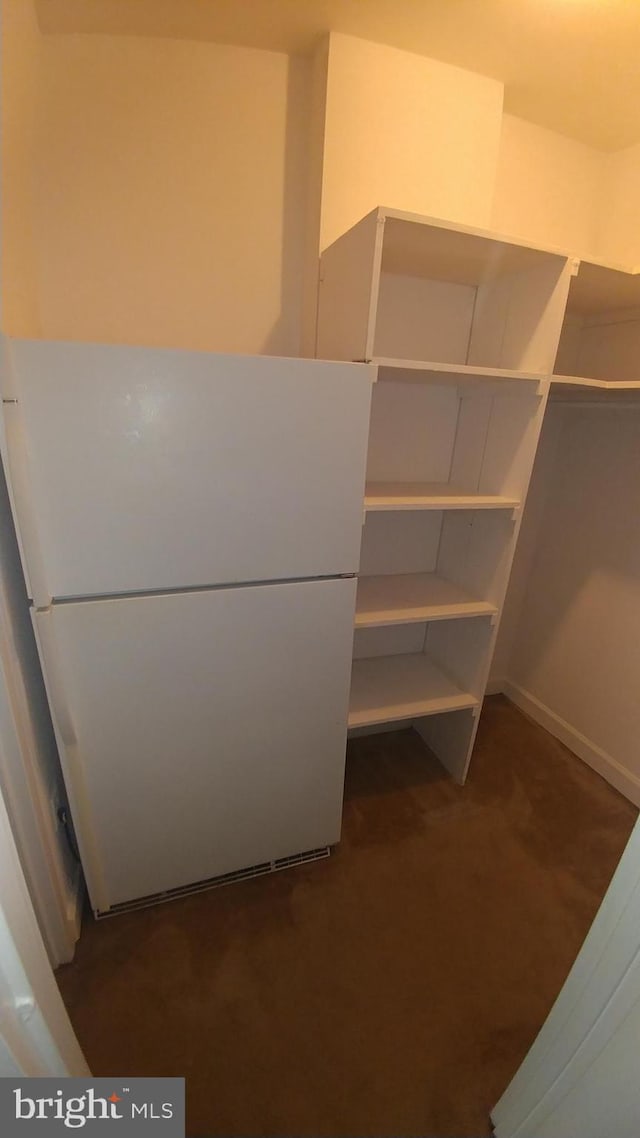walk in closet with dark colored carpet