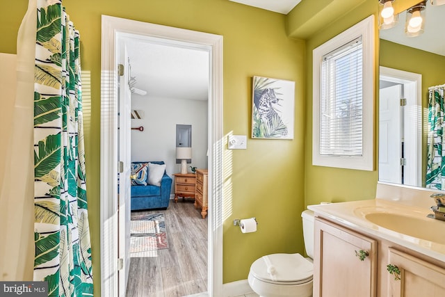 bathroom featuring toilet, vanity, and wood-type flooring