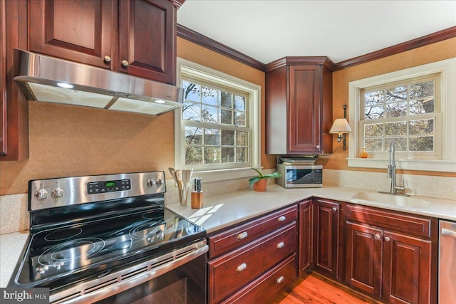 kitchen with ornamental molding, a healthy amount of sunlight, and stainless steel appliances