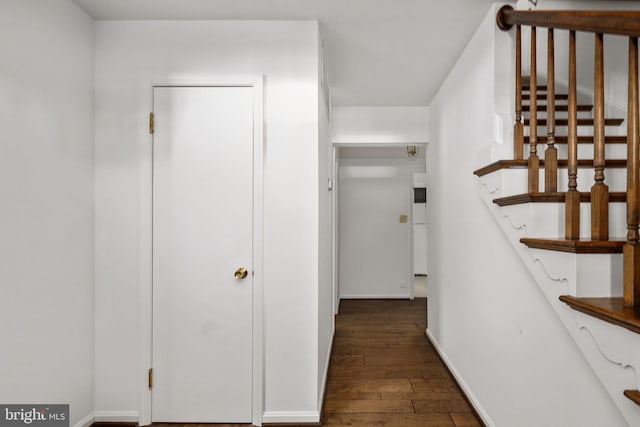 hallway featuring dark hardwood / wood-style flooring