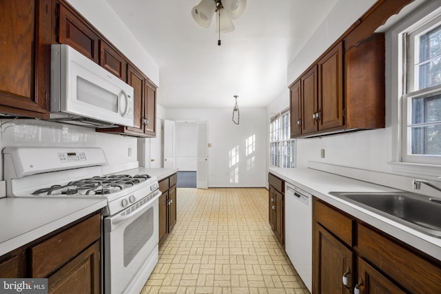 kitchen featuring ceiling fan, dark brown cabinetry, white appliances, and sink