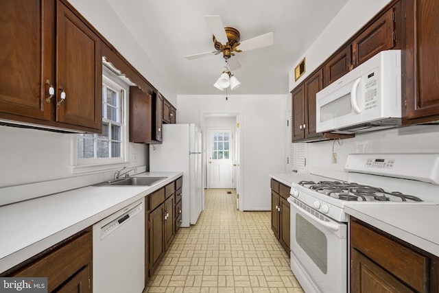 kitchen featuring plenty of natural light, ceiling fan, white appliances, and sink