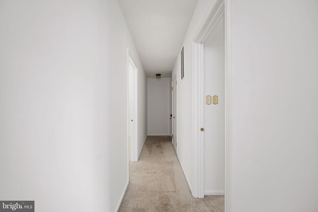 hall featuring light carpet