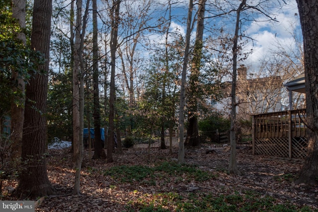 view of yard featuring a wooden deck