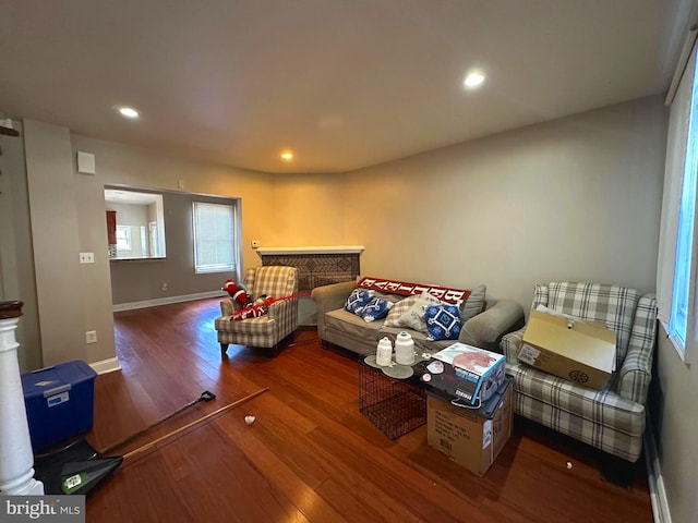 living room with wood-type flooring