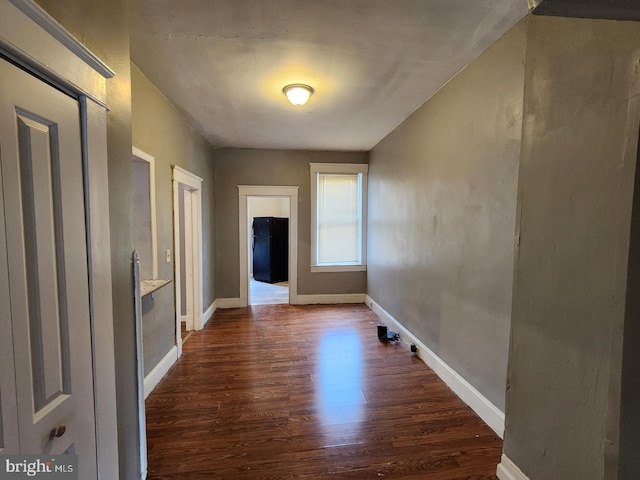 interior space with dark hardwood / wood-style flooring