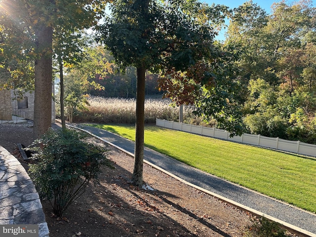 view of home's community with a yard