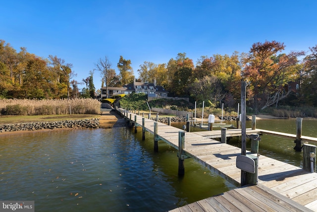 dock area featuring a water view