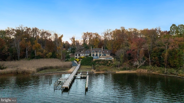 dock area with a water view