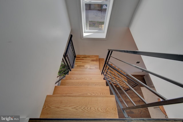 stairway featuring wood-type flooring and a skylight