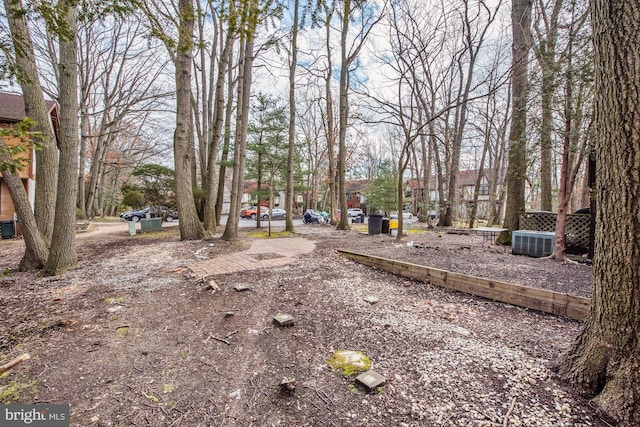 view of yard with central AC