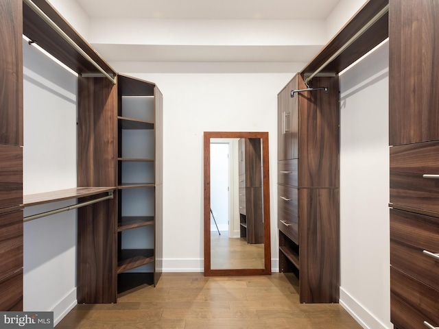 walk in closet featuring light hardwood / wood-style floors