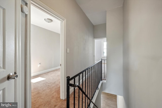 staircase with carpet floors