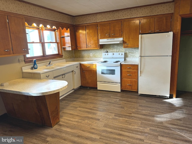 kitchen with sink, crown molding, dark hardwood / wood-style floors, and white appliances