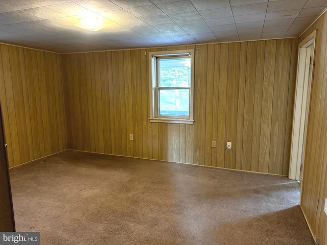 unfurnished room with wood walls and carpet flooring