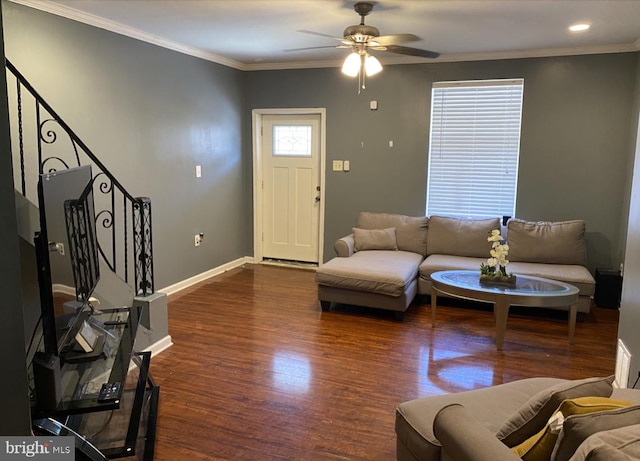 living room with ceiling fan, ornamental molding, and dark hardwood / wood-style floors