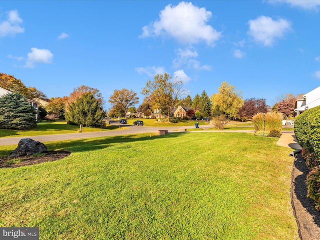 view of yard