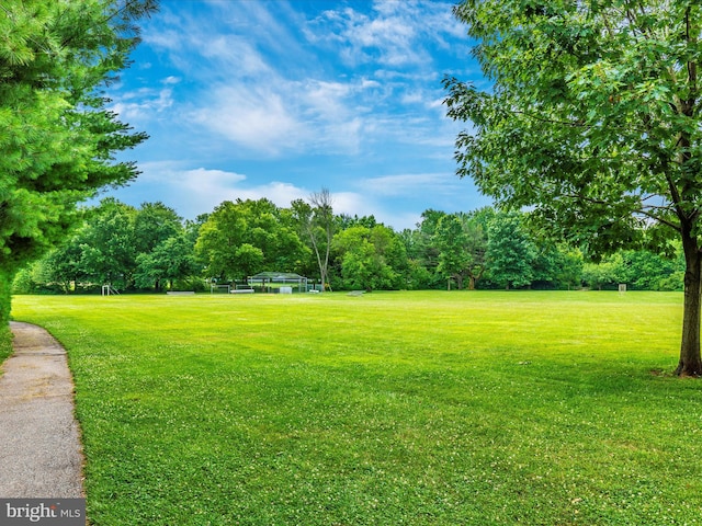 view of yard