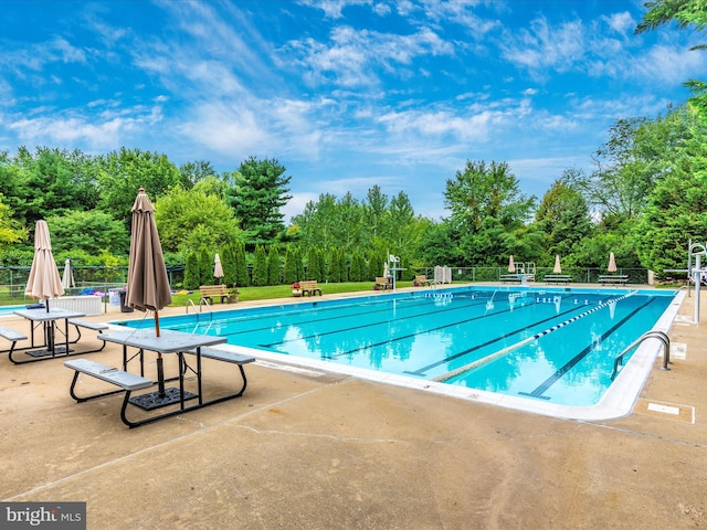 view of pool featuring a patio