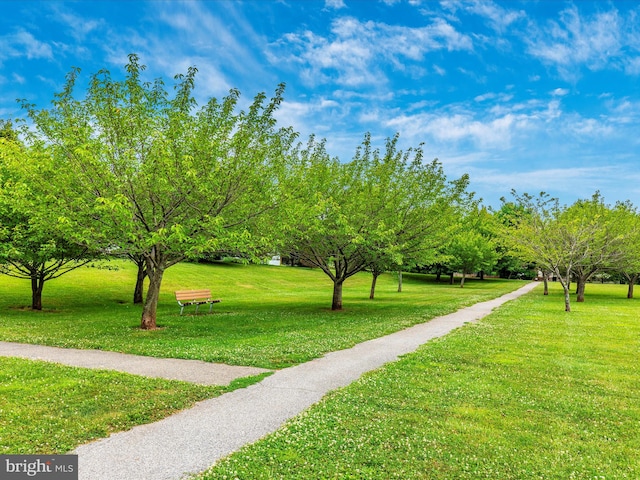 view of community featuring a lawn