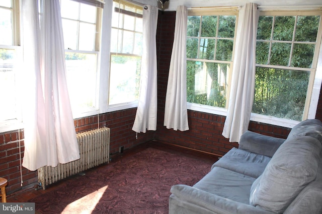 sunroom featuring plenty of natural light and radiator