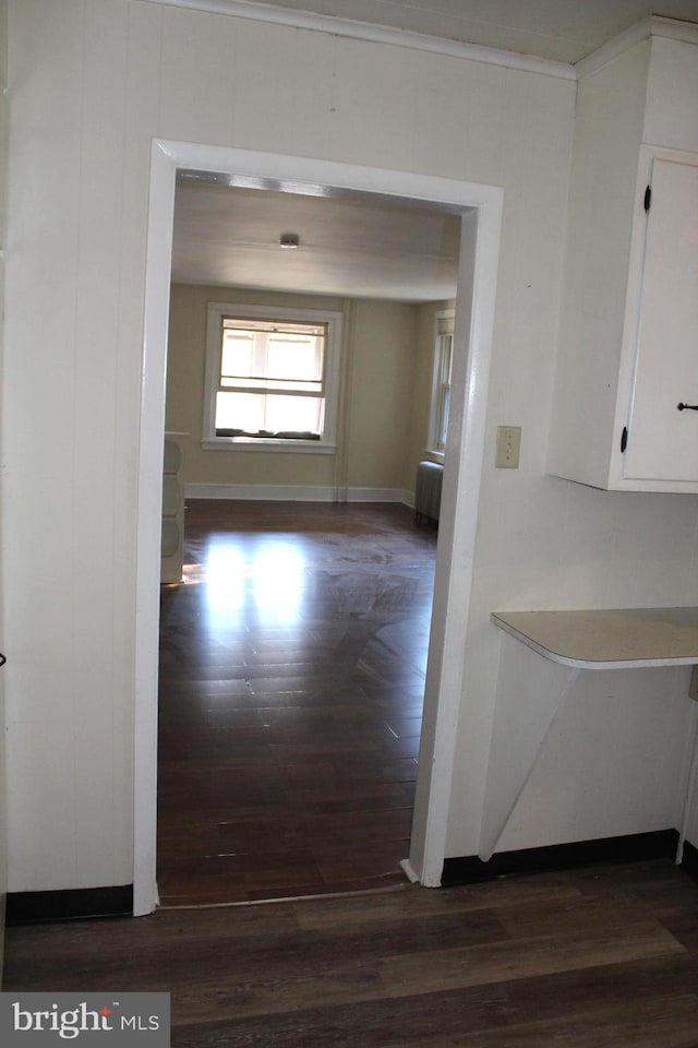 corridor featuring dark wood-type flooring