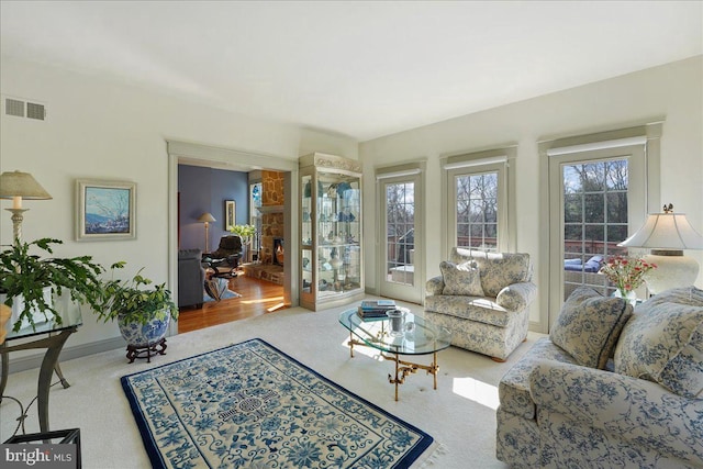 living room with a stone fireplace and wood-type flooring