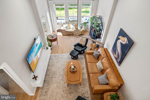 living room with hardwood / wood-style floors