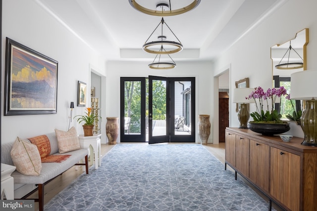 foyer with french doors, a wealth of natural light, dark wood-type flooring, and a tray ceiling